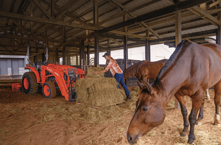 Woman loading hay onto her tractor